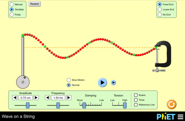 Wave on a String