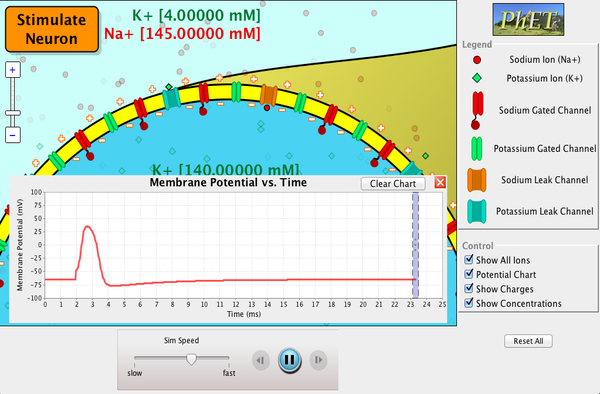 Neuron screenshot.