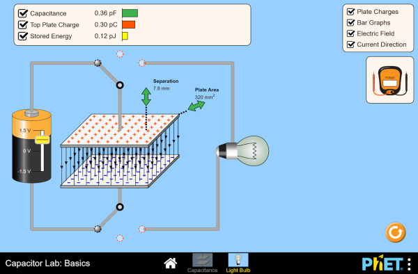 Capacitor Lab: Basics