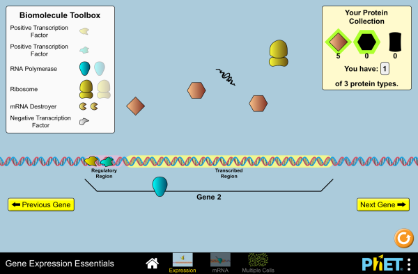 Gene Expression Essentials