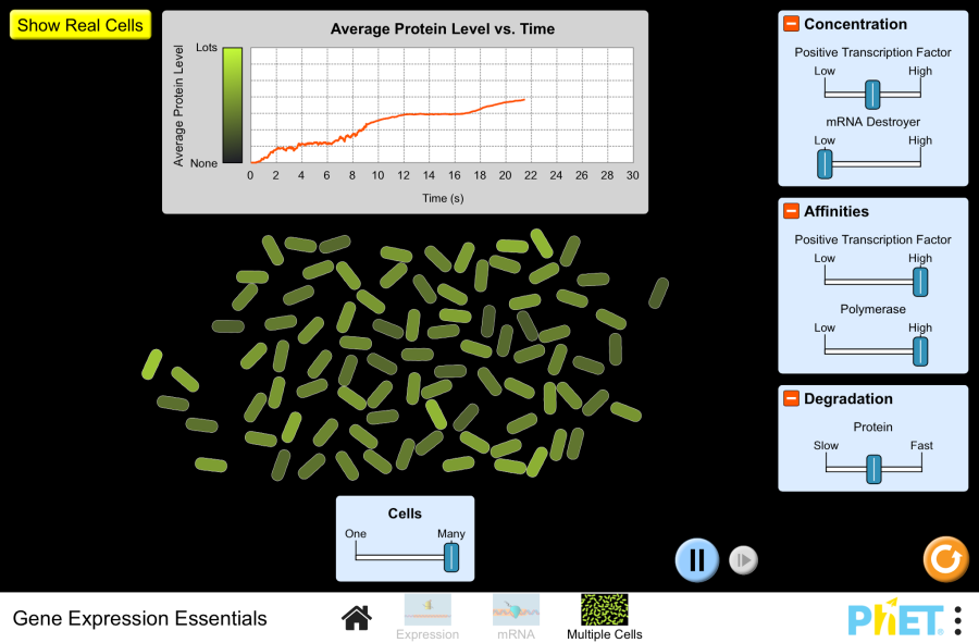 Gene Expression Essentials - Gene Expression | DNA Transcription ...