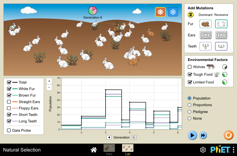 Selecci n Natural Mutaci n Genetics Selecci n Simulaciones
