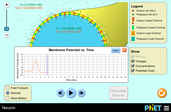 Gene Expression Essentials