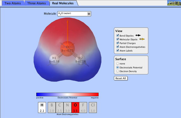 Molecule Polarity