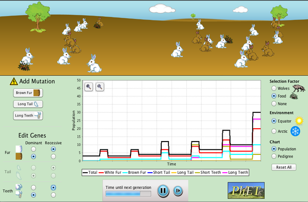 Natural Selection Evolution Genetics Phet Interactive Simulations