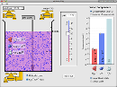 Screenshot of the simulation pH مقیاس
