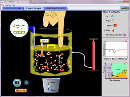 Screenshot of the simulation Καταστάσεις της Ύλης